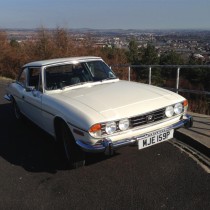 martinhenderson1974stag(Large)